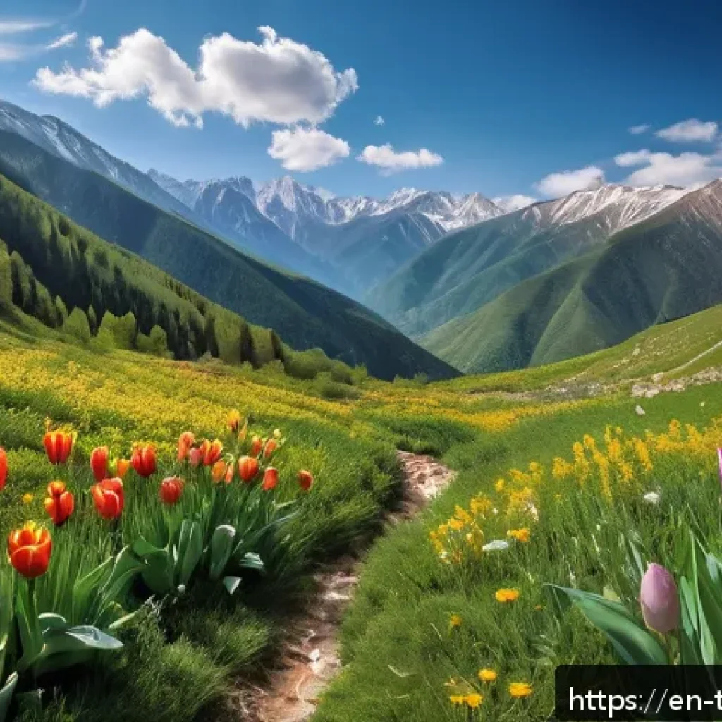 튀르키예 자연보호구역 탐험 - A panoramic view of the Kaçkar Mountains in northeastern Turkey during springtime, showcasing dense ...