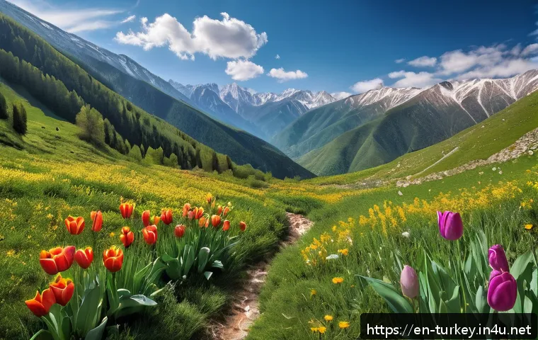 튀르키예 자연보호구역 탐험 - A panoramic view of the Ka&ccedil;kar Mountains in northeastern Turkey during springtime, showcasing dense ...